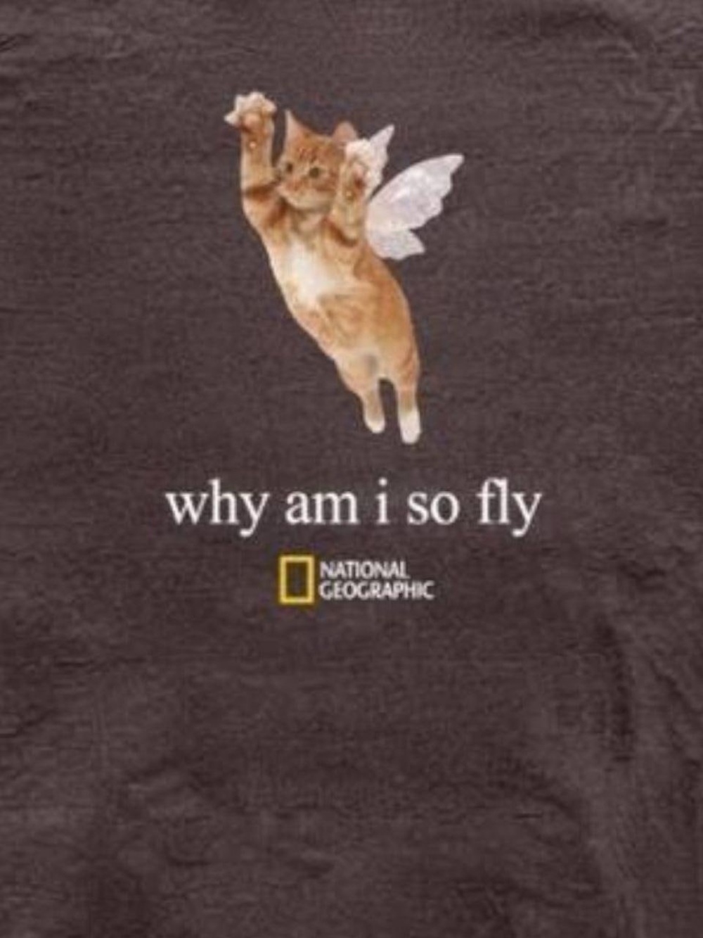 Gildan Brown Graphic Tee with Flying Cat Print - Picture 2 of 3